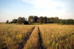 Малоизвестные сады и парки юга Нижегородской области