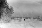 Фотография деревни Филипповки 1951-52 гг.